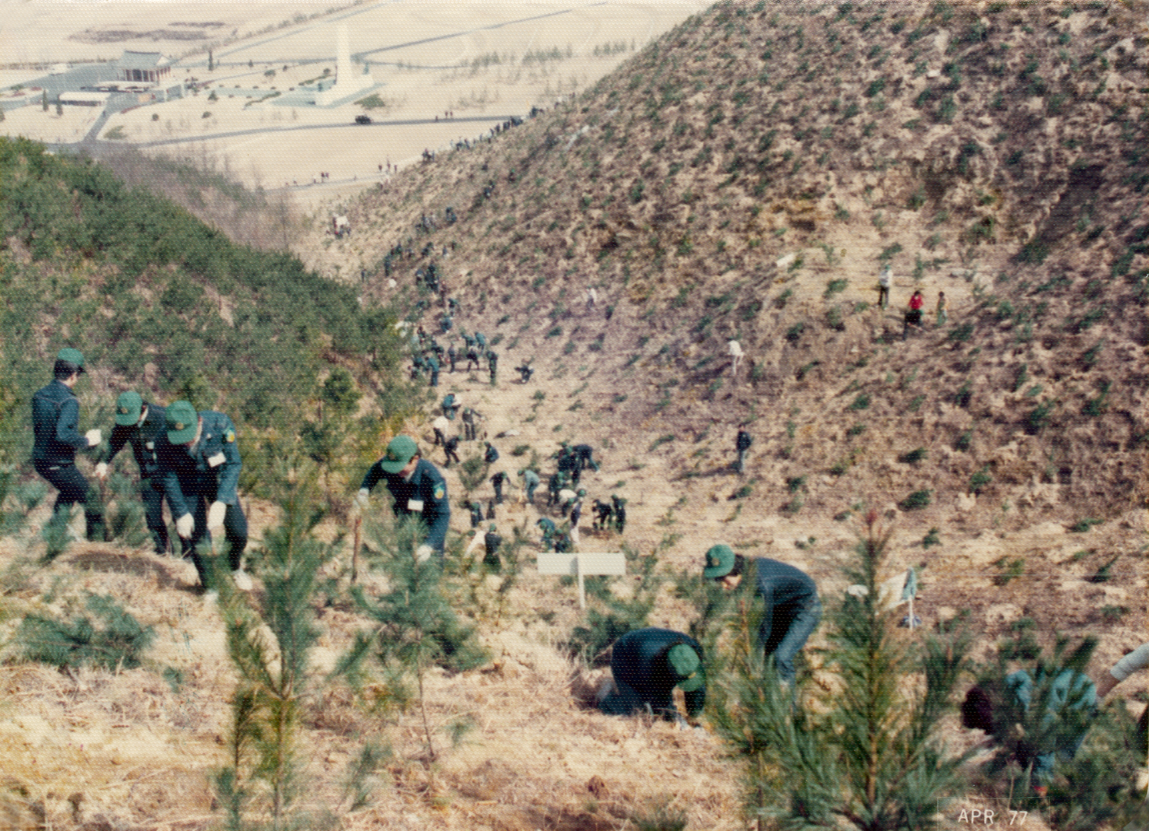 국토녹화 모습. 출처=산림청