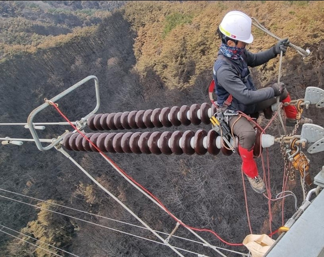 한국전력 협력사 직원이 송전선로의 손상된 애자(전력선과 전주 또는 철탑 사이에 설치되는 절연장치)를 교체하고 있다. 사진=한국전력
