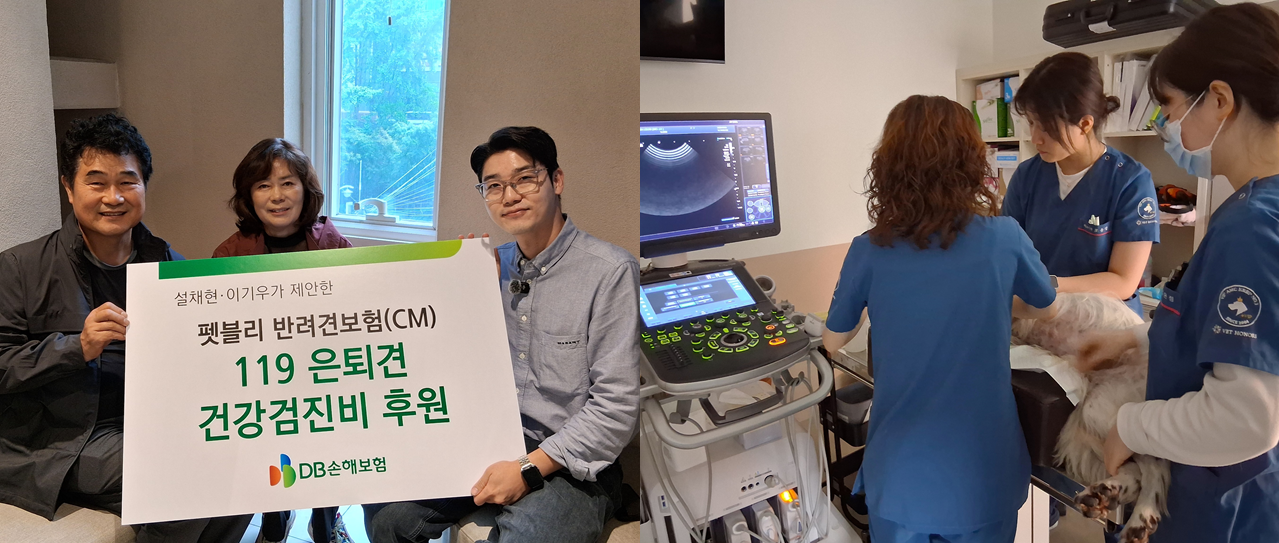 지난 9일 서울시 강남구 설채현 수의사 동물병원에서 119은퇴견 다솔이에 대한 건강검진을 진행하고 기념촬영을 하고 있다. 사진제공=DB손해보험