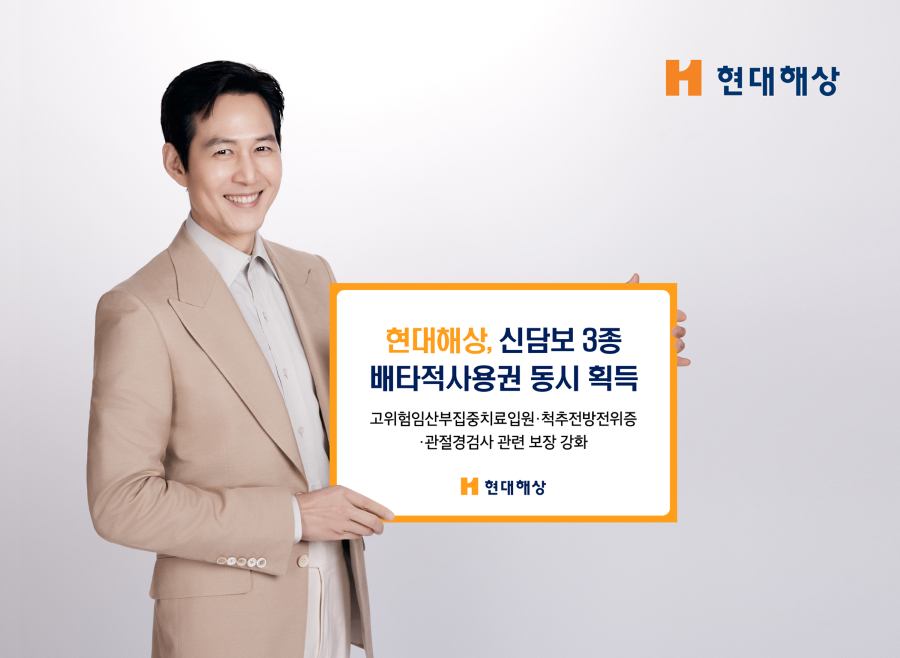 현대해상, 신담보 3종 배타적사용권 동시 획득. 사진제공=현대해상