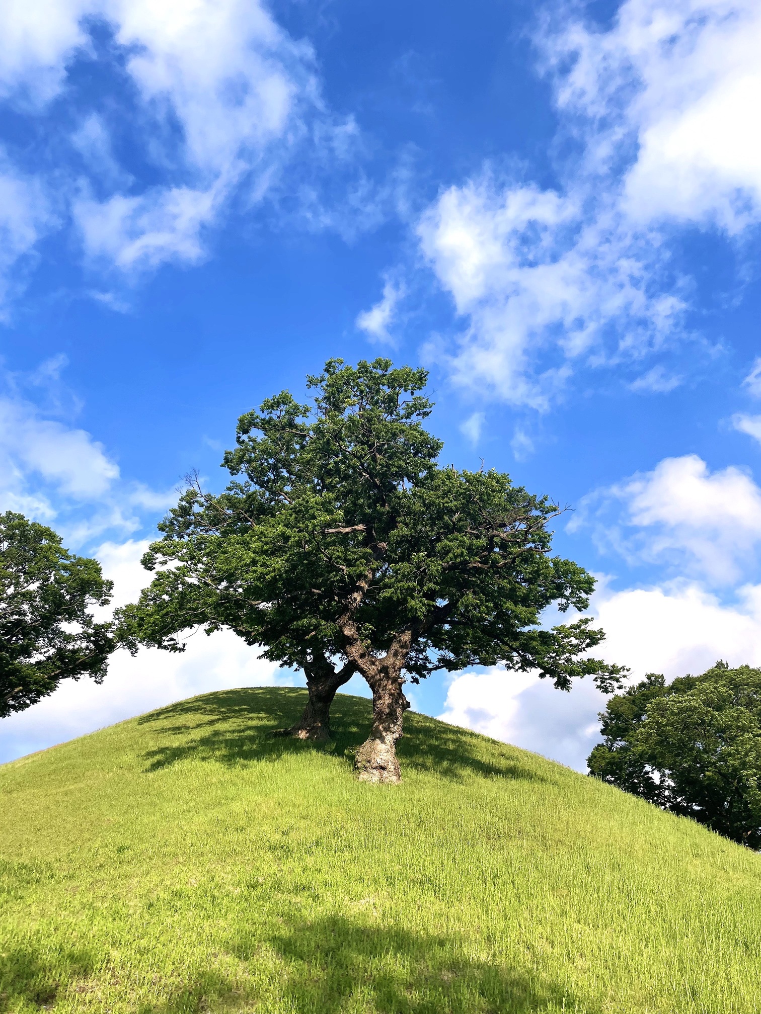 '제 2회 HS효성 2026 사진 공모전' 당선작. 사진=HS효성