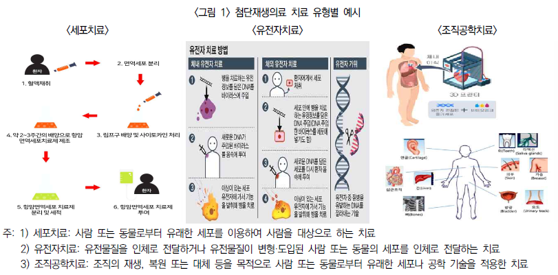 사진제공=보험연구원