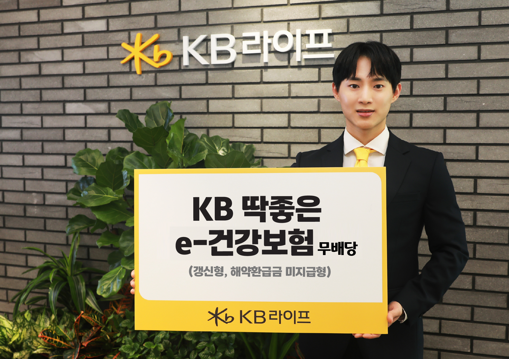 ‘KB 딱좋은 e-건강보험 무배당(갱신형)’ 신상품 출시. 사진제공=KB라이프