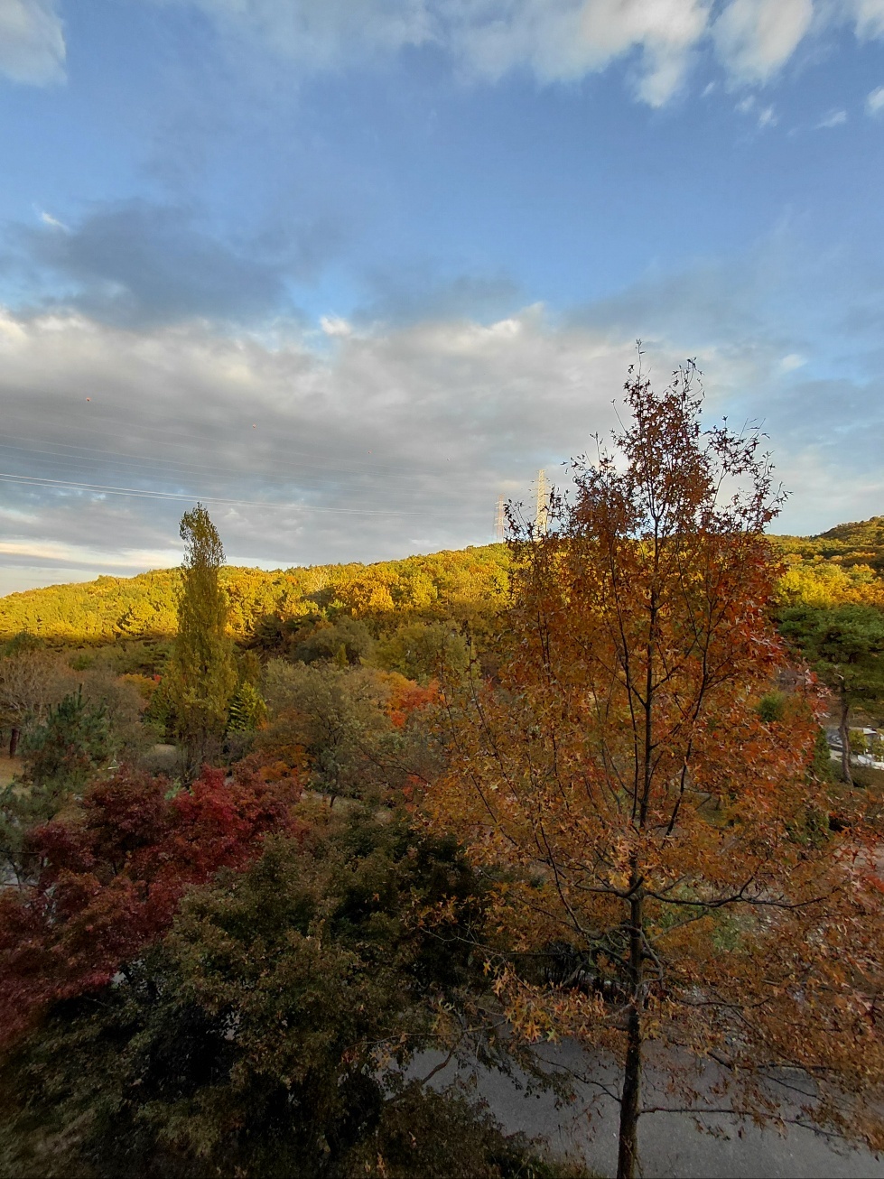 수목원 높은 데크길에 올라 가을이 가는 모습을 해가 기울도록 하염없이 지켜보았습니다