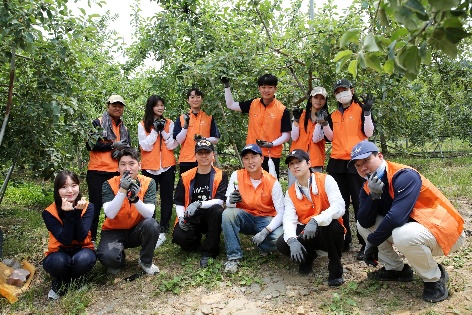 연천 사과농가 봉사활동 중인 한화. 사진=(주)한화