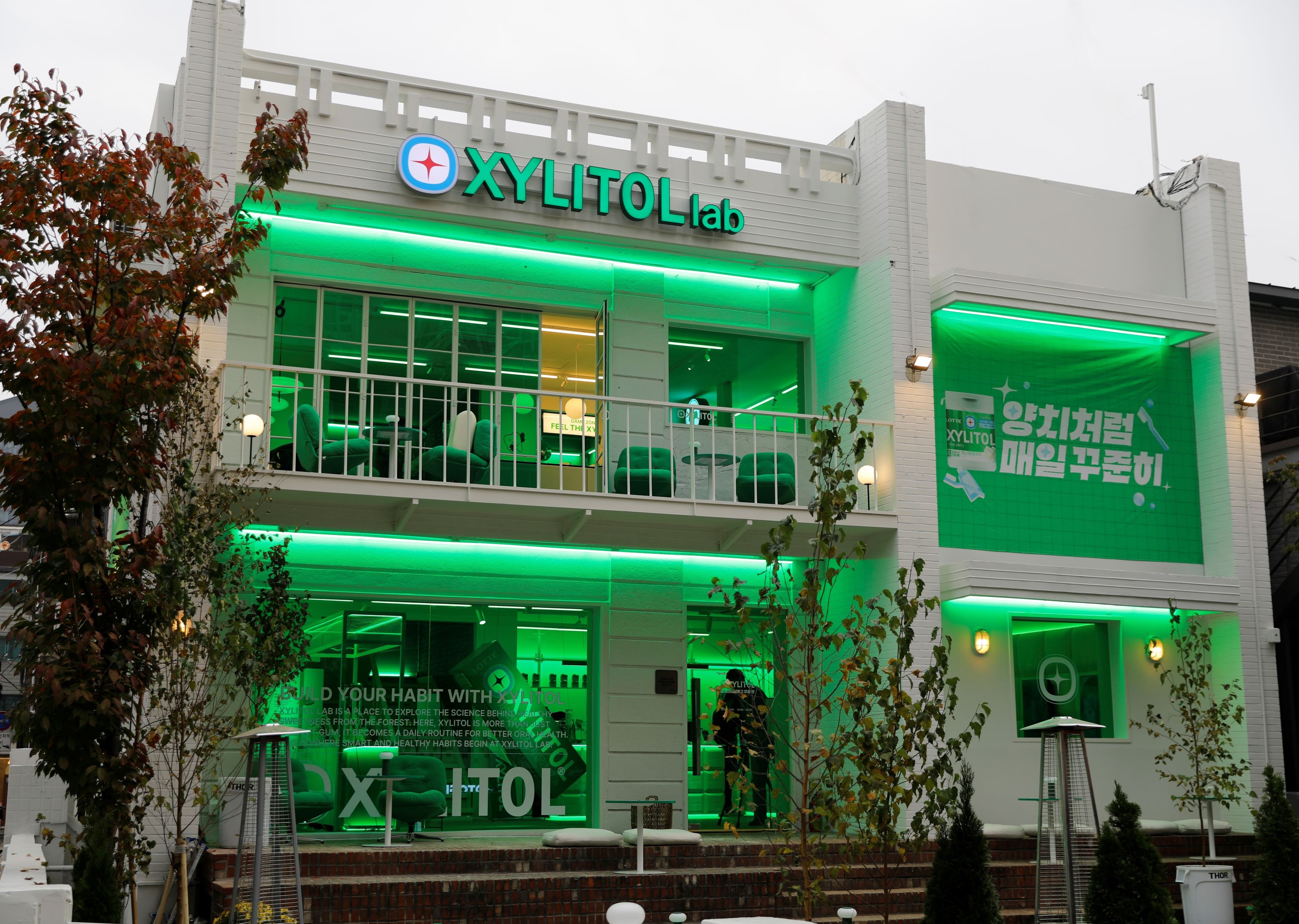자일리톨 팝업스토어 전경 이미지. 사진=롯데웰푸드