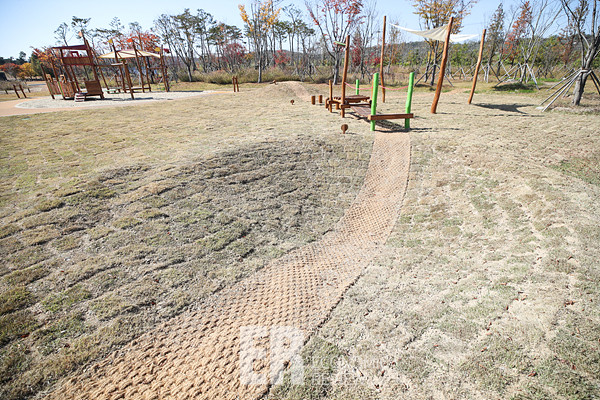 사진=임형택기자