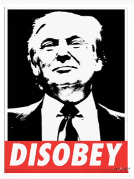 공화당 지도부가 도널드 트럼프 대통령의 선거 불복 지지 쪽으로 입장을 정리한 것으로 보인다.   출처= Red Bubble