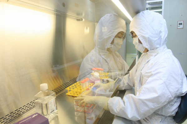 메디포스트 연구원이 연구를 하고 있다. 출처=메디포스트