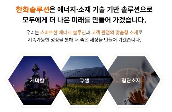 기존 한화솔루션의 사업 영역. 출처=갈무리