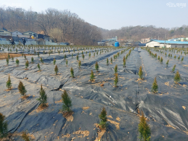 광명시흥지구 일대 토지. 사진=이코노믹리뷰 신진영 기자