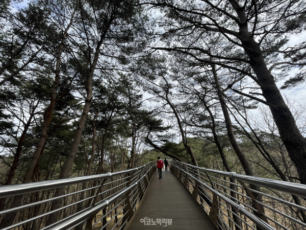 원주의 대표 관광 명소인 간현관광지에 위치한 원주 소금산 출렁다리 사진=박재성 기자