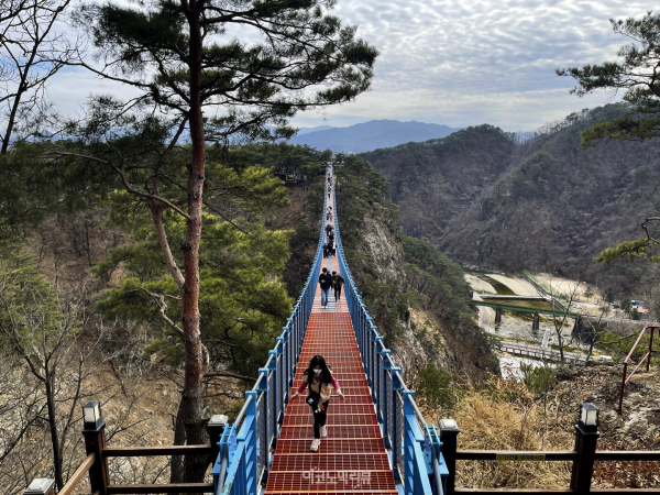 원주의 대표 관광 명소인 간현관광지에 위치한 원주 소금산 출렁다리 사진=박재성 기자