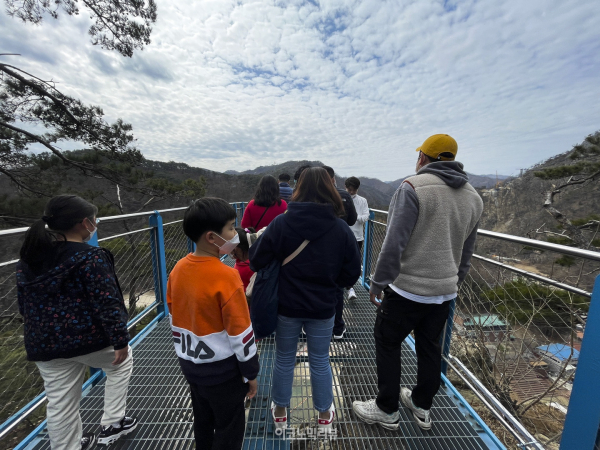 원주의 대표 관광 명소인 간현관광지에 위치한 원주 소금산 출렁다리 사진=박재성 기자