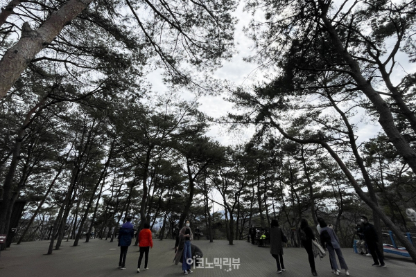 원주의 대표 관광 명소인 간현관광지에 위치한 원주 소금산 출렁다리 사진=박재성 기자