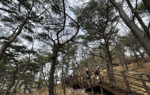 원주의 대표 관광 명소인 간현관광지에 위치한 원주 소금산 출렁다리 사진=박재성 기자