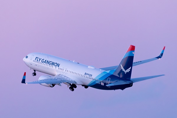 출처=플라이강원