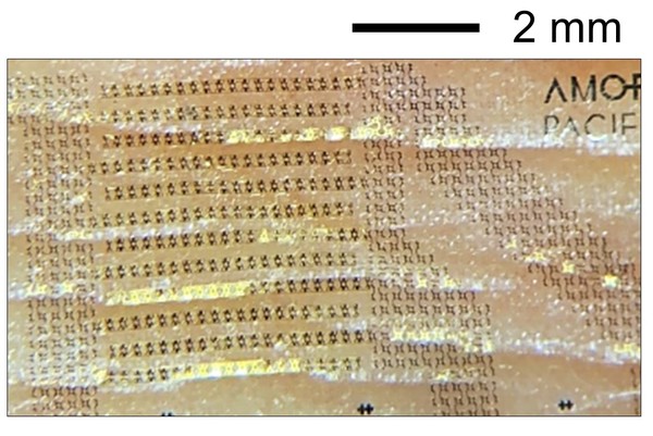 초박막 웨어러블 피부 측정기기. 출처=아모레퍼시픽