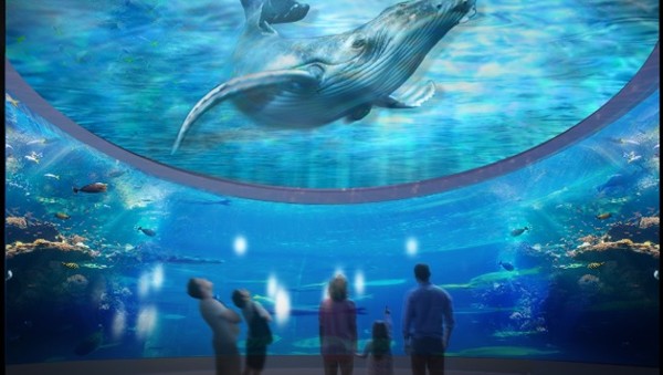 대전엑스포 아쿠아리움 파노라마 탱크. 출처=대전 엑스포 아쿠아리움.