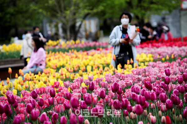 22일 경기 고양시 일산호수공원에서 열린 '2022 고양국제꽃박람회 화훼산업대전'에서 시민들이 꽃을 구경하고 있다.사진=박재성 기자