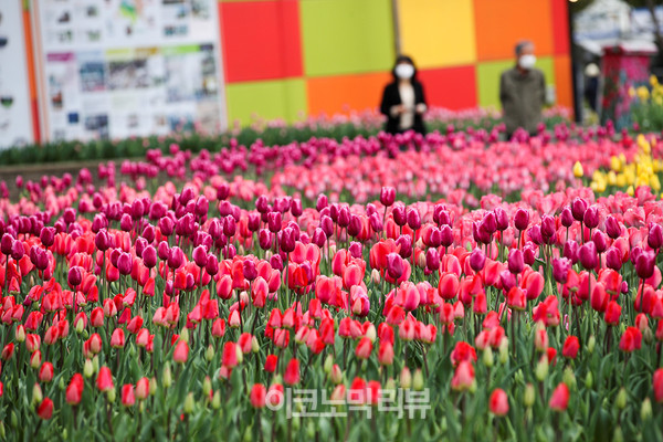 22일 경기 고양시 일산호수공원에서 열린 '2022 고양국제꽃박람회 화훼산업대전'에서 시민들이 꽃을 구경하고 있다.사진=박재성 기자