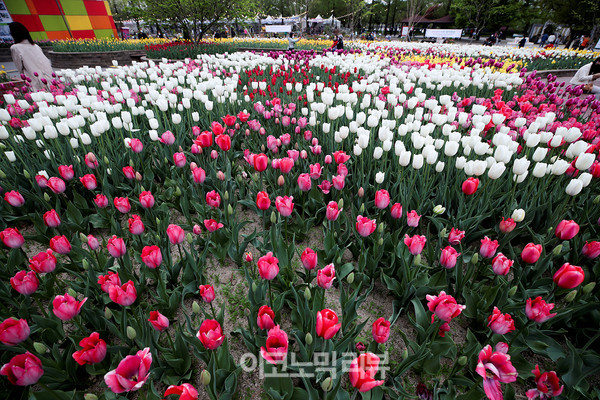 22일 경기 고양시 일산호수공원에서 열린 '2022 고양국제꽃박람회 화훼산업대전'에서 시민들이 꽃을 구경하고 있다.사진=박재성 기자