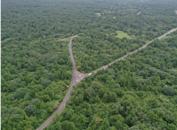 2021년 제주도 제주시 구좌읍 행원리 일대 모습(소나무재선충병 방제사업 후).출처=산림청.