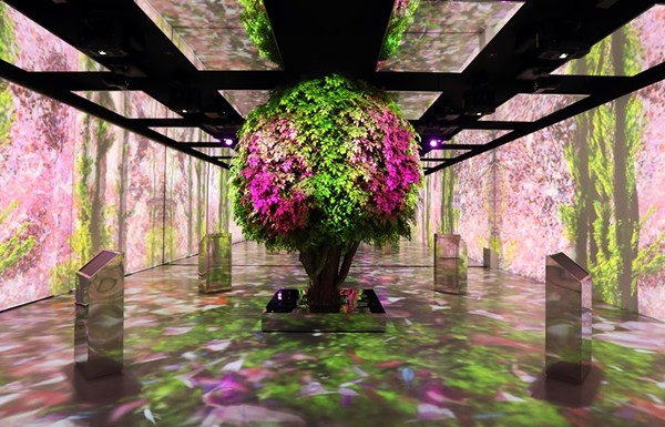 SK그룹이 충주 인등산 SK수펙스센터에 개관한 그린 포레스트 파빌리온 내부에 지속가능한 성장을 상징하는 생명의 나무가 서 있다. 출처=SK