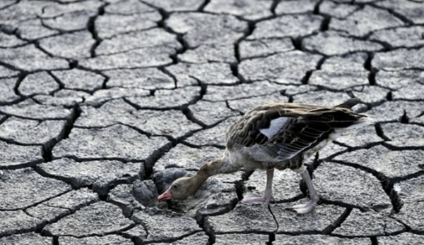 헝가리의 말라버린 강물. 출처 연합뉴스