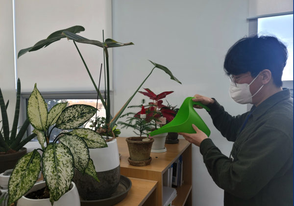 반려식물을 관리하고 있는 모습.출처=농진청