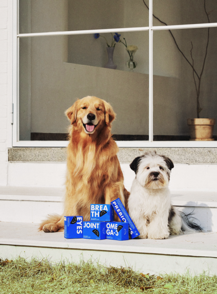 반려동물 자료사진 (기사와 관련 없음) = 이코노믹리뷰 DB