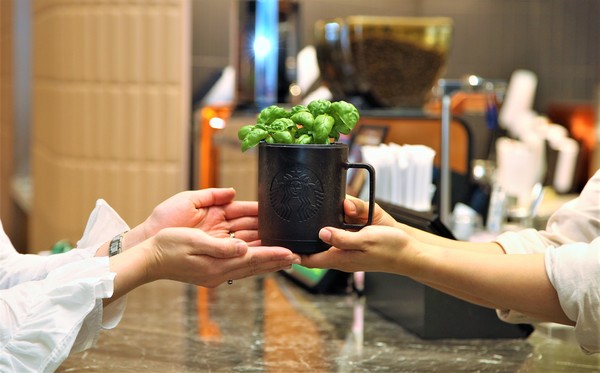 사진=스타벅스.