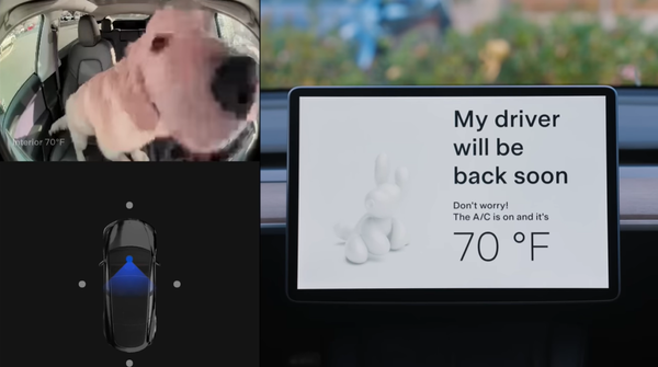 테슬라 고객이 차량 내부에 설치된 카메라로 실내에 남은 반려동물을 살펴볼 수 있는 애견 모드(dog mode)를 이용하는 장면. 사진=유튜브 캡처
