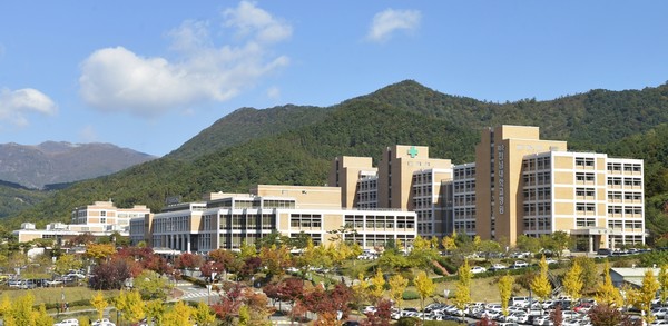 화순전남대병원 전경. 사진=화순전남대병원