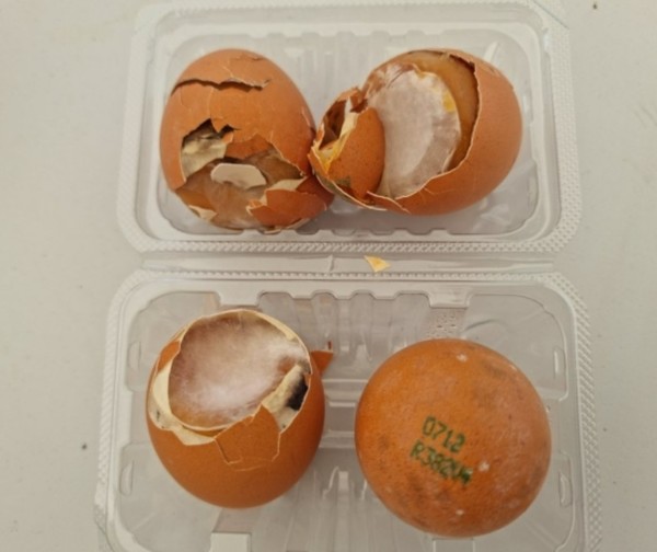 잼버리에 공급된 곰팡이가 핀 구운달걀. 출처= 온라인 커뮤니티 