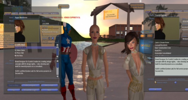 최초의 메타버스 게임인 세컨드 라이프. 사진=갈무리