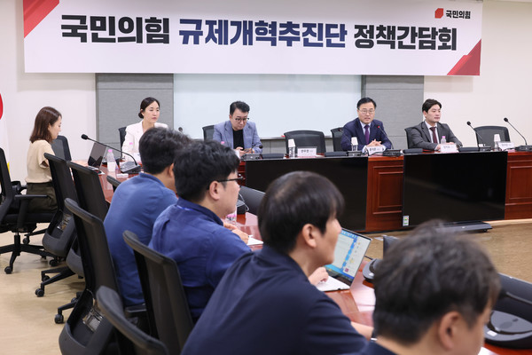 국회 의원회관에서 열린 국민의힘 규제개혁추진단 스타트업 정책간담회에서 홍석준 규제개혁추진단장이 발언하고 있다. 사진=연합뉴스