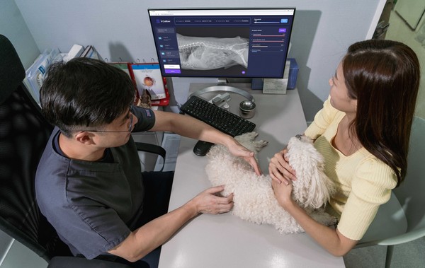 동물병원 수의사가 엑스칼리버를 활용해 강아지의 엑스레이 사진을 판독하며 진료하고 있다. SK텔레콤 제공