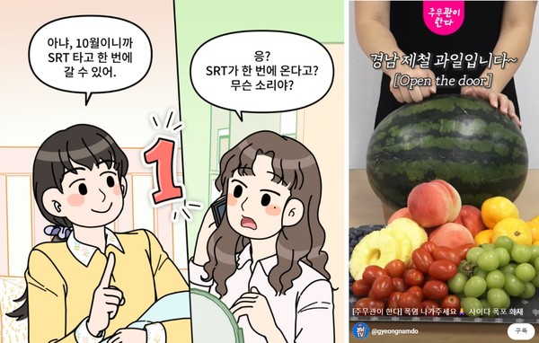 웹툰, 숏폼을 활용한 경남의 소식 전달 및 제철 과일 소개