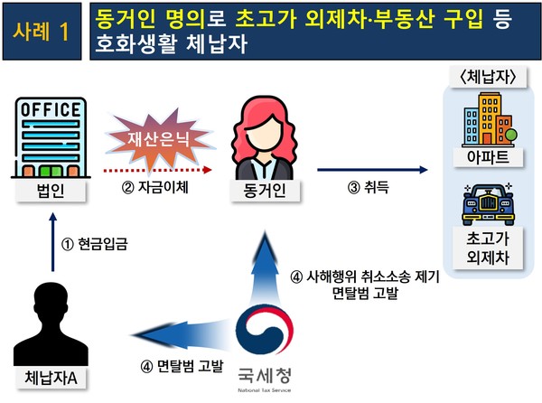 동거인 명의로 초고가 외제차 등을 구입한 사례.출처=국세청