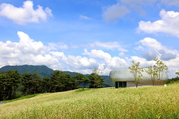 백두대간 글로벌 시드볼트의 모습. 출처=한국수목원정원관리원