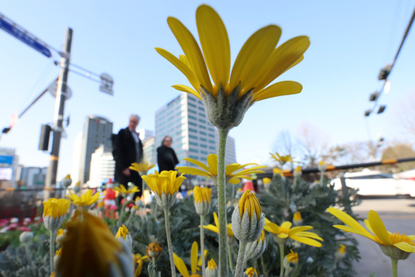 사진출처=연합뉴스