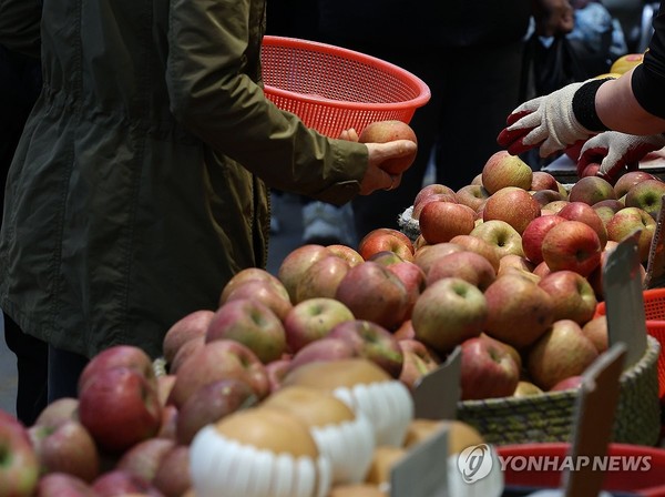 서울 경동시장에서 사과가 진열되어 있다. 사진=연합뉴스