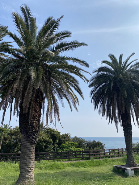 중문색달해수욕장. 사진제공= 제주관광정보센터