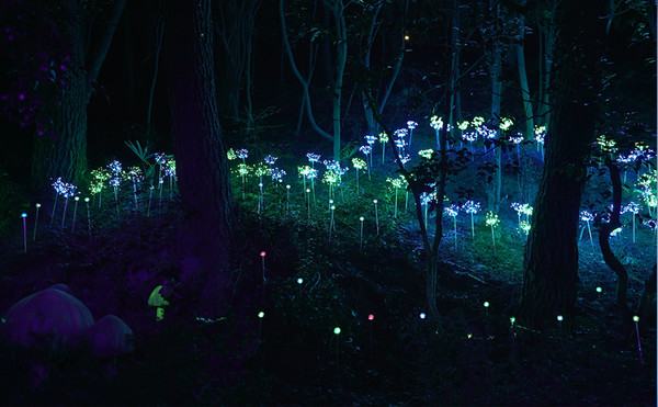 디피랑. 사진제공= 디피랑