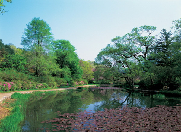 국립수목원(광릉숲). 사진제공= 국립수목원
