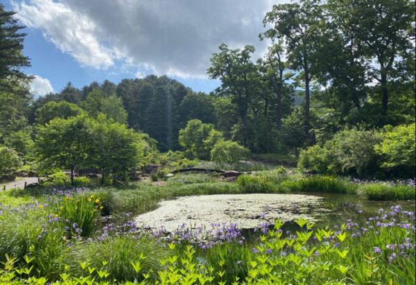 국립수목원(광릉숲). 사진제공= 국립수목원
