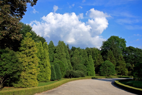 국립수목원(광릉숲). 사진제공= 국립수목원