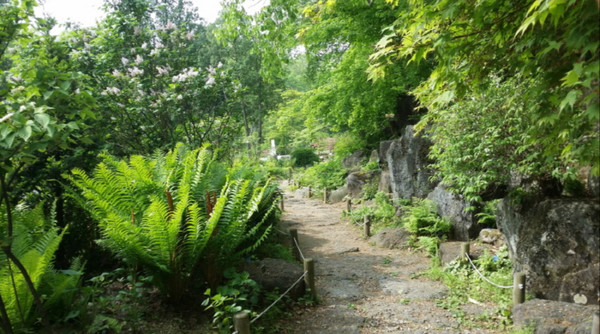 국립수목원(광릉숲). 사진제공= 국립수목원