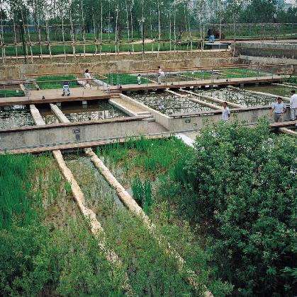 선유도공원, 2001. 사진: 양해남, 2002년 촬영